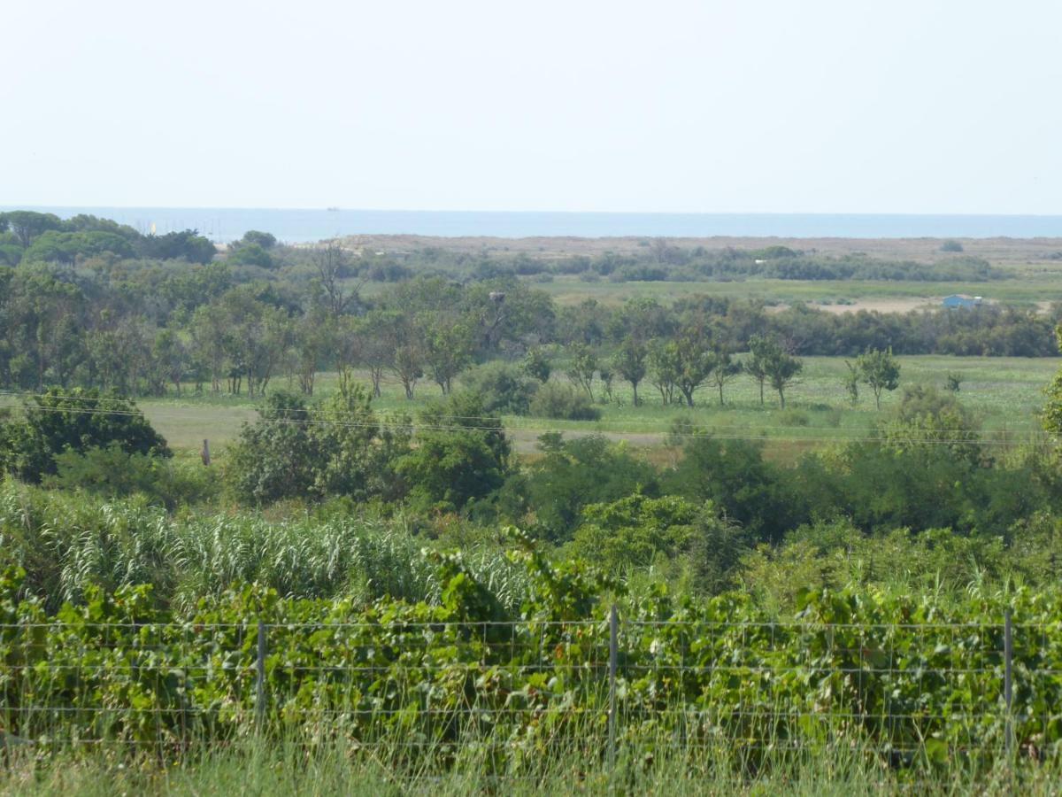 Gite Des Jonquies, Au Calme Vue Sur Le Canal Du Midi Et La Mer Portiragnes Εξωτερικό φωτογραφία
