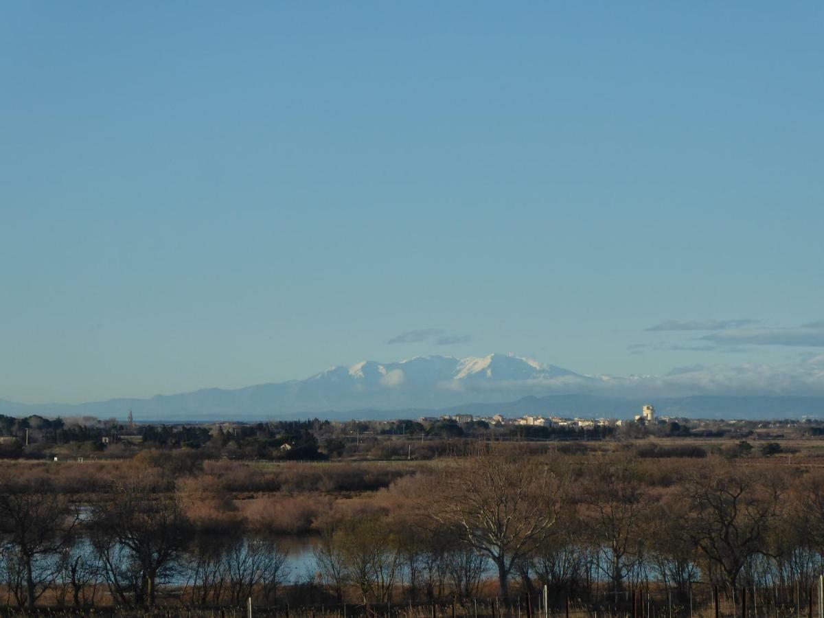 Gite Des Jonquies, Au Calme Vue Sur Le Canal Du Midi Et La Mer Portiragnes Εξωτερικό φωτογραφία