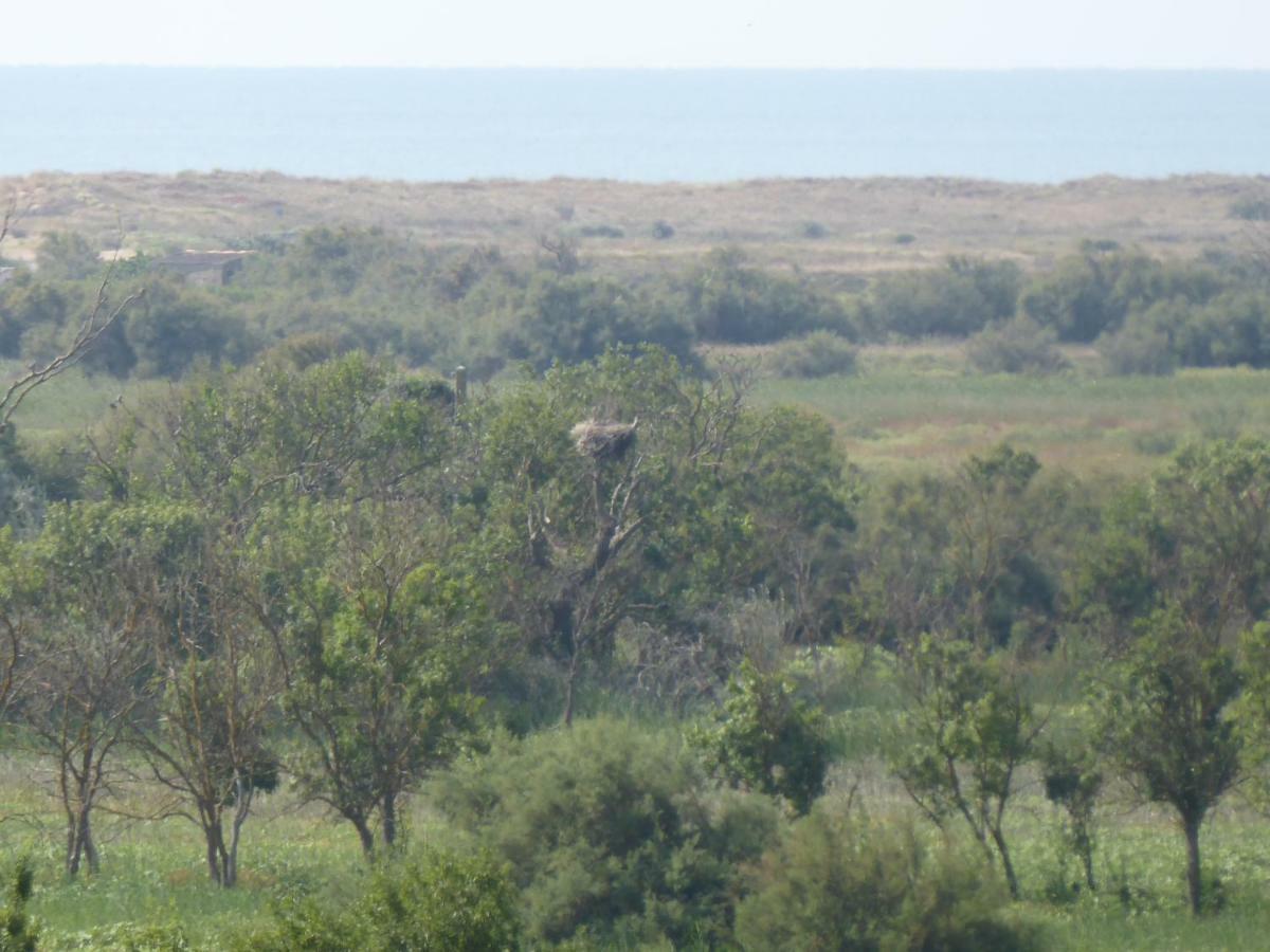 Gite Des Jonquies, Au Calme Vue Sur Le Canal Du Midi Et La Mer Portiragnes Εξωτερικό φωτογραφία